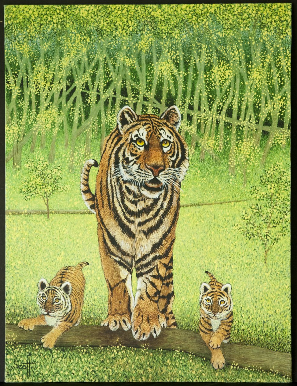  द्वारा पैट स्कॉट