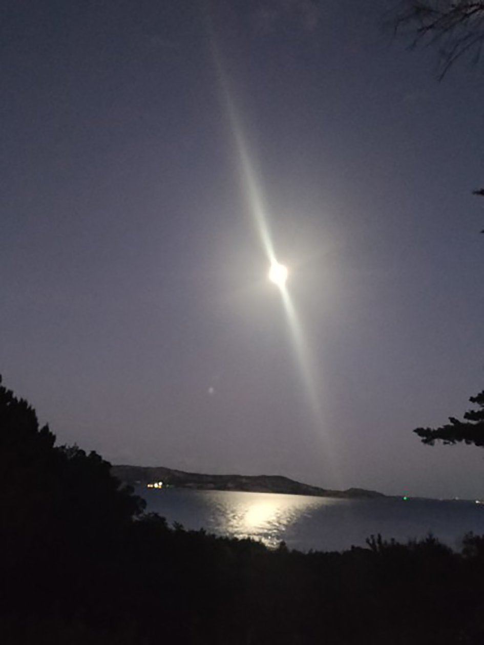  द्वारा पैट्रिज़िया ला पोर्टा