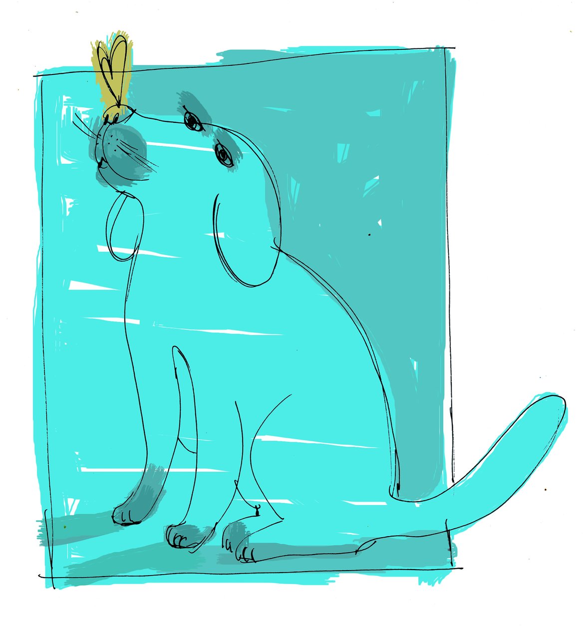  द्वारा पैट्रिज़िया ला पोर्टा