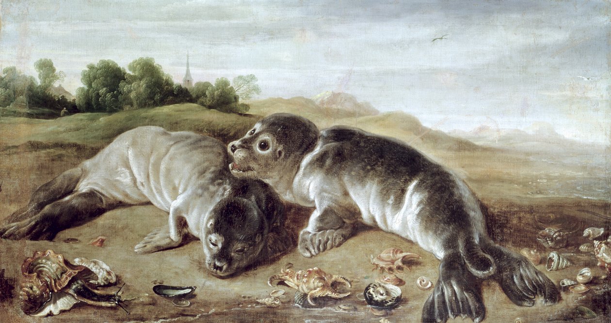 तट पर दो युवा जवानों, c.1650 द्वारा पॉल दे वोस