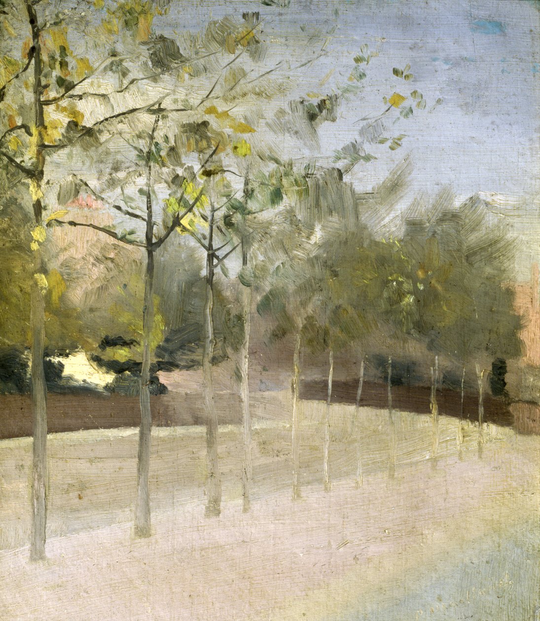 चेल्सी तटबंध, विमान पेड़, 1908 द्वारा पॉल Fordyce Maitland