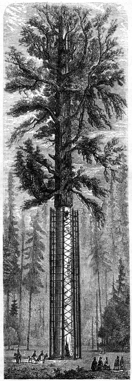 Yosemite National Park, California, 19 वीं शताब्दी। द्वारा पॉल हूएट
