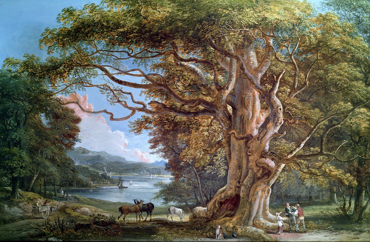 एक प्राचीन बीच का पेड़, 1794 द्वारा पॉल सैंडबी