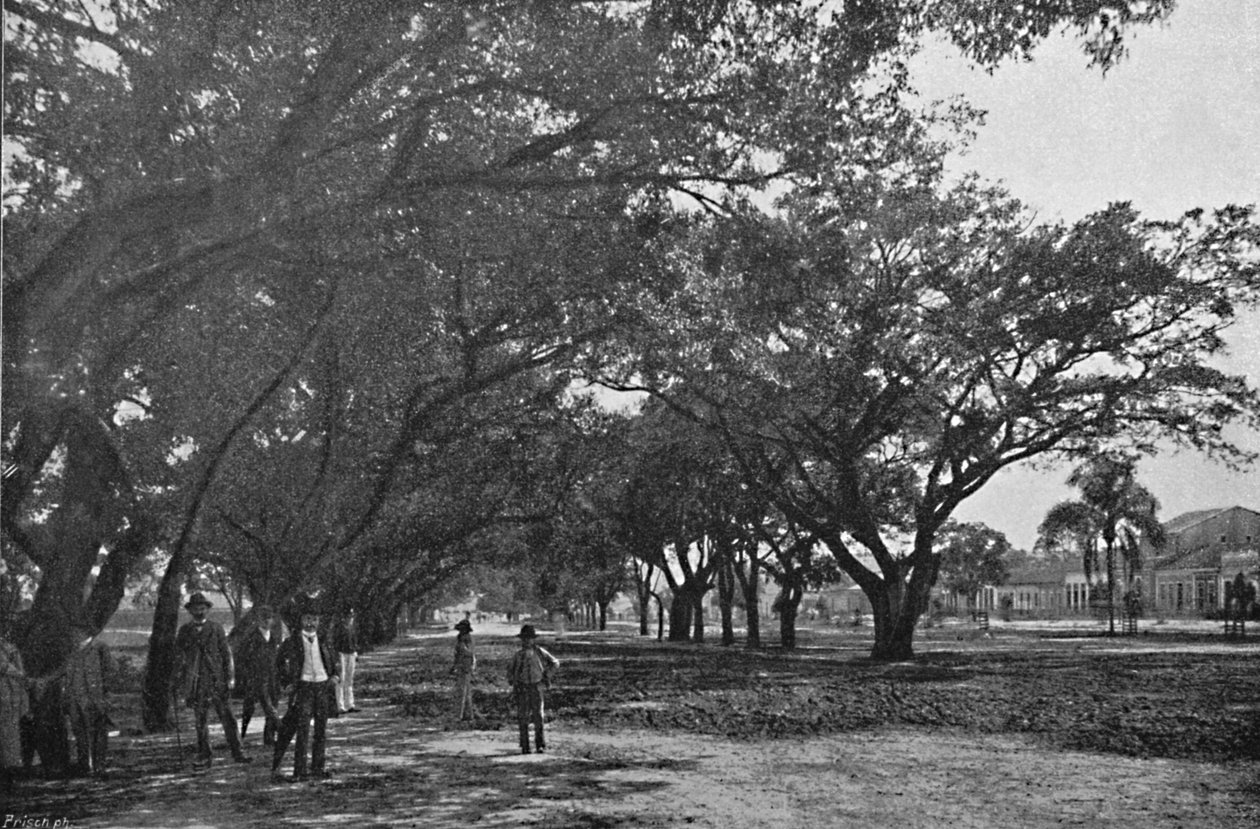एवेनिडा डे तिरेदांतेस, 1895 द्वारा पाउलो कोवाल्स्की