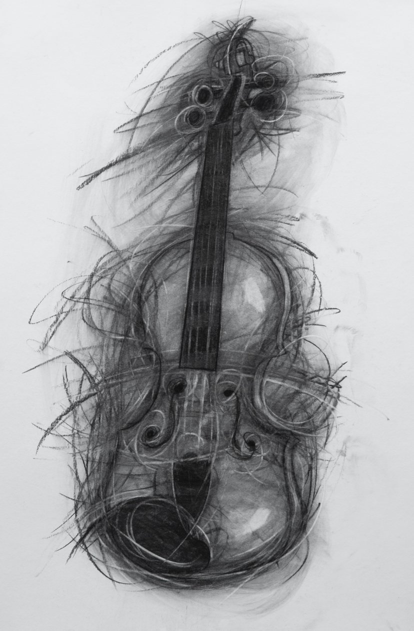 वायलिन, 2005 (कागज पर कोयला) द्वारा पेनी वार्डन