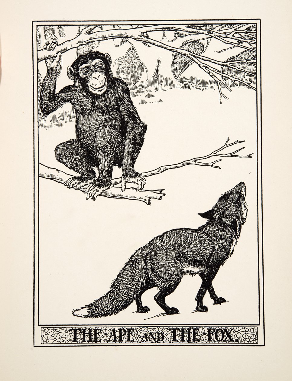 एप एंड द फॉक्स, ए हंड्रेड फेबल्स ऑफ ईसप से, pub.1903 (उत्कीर्णन) द्वारा पर्सी जे बिलिंग्सहर्स्ट