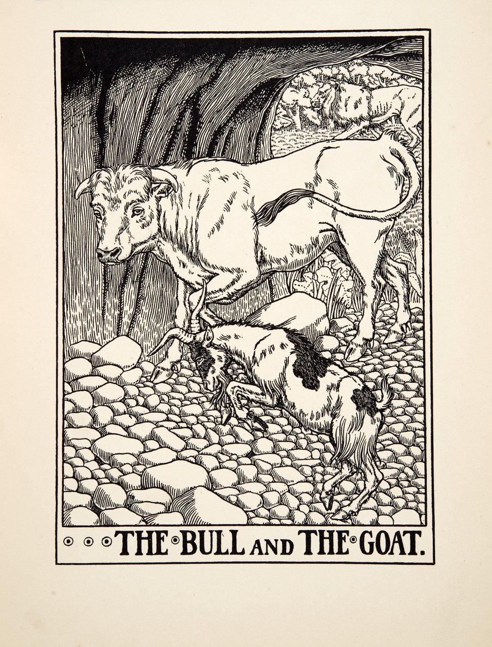 द बुल एंड द बकरी, ए हंड्रेड फेबल्स ऑफ ईसप से, pub.1903 (उत्कीर्णन) द्वारा पर्सी जे बिलिंग्सहर्स्ट