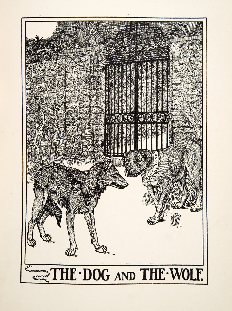 द डॉग एंड द वुल्फ, ए हंड्रेड फेबल्स ऑफ ईसप से, pub.1903 (उत्कीर्णन) द्वारा पर्सी जे बिलिंग्सहर्स्ट