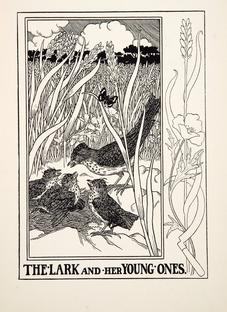 द लार्क एंड हिज़ यंग ओन्स, ए हंड्रेड फेबल्स ऑफ़ ईसप से, pub.1903 (उत्कीर्णन) द्वारा पर्सी जे बिलिंग्सहर्स्ट