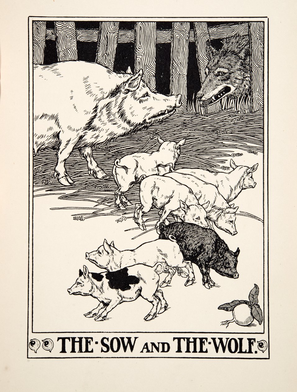 द सॉ एंड द वुल्फ, ए हंड्रेड फेबल्स ऑफ ईसप से, pub.1903 (उत्कीर्णन) द्वारा पर्सी जे बिलिंग्सहर्स्ट