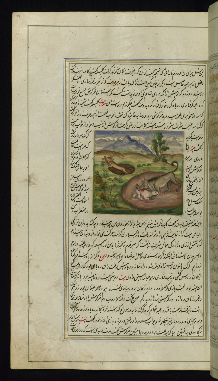 एक गीदड़ ने कैनोपस की लाइट्स, 1847 से एक खरगोश का रूप धारण किया द्वारा फारसी स्कूल