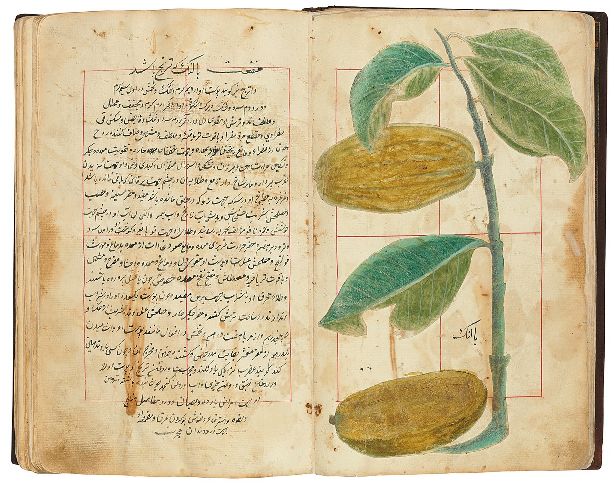 हसन बिन बकीर बिन जर्राह: गुलज़ार अल-रायहिन, क़ज़र ईरान द्वारा फारसी स्कूल