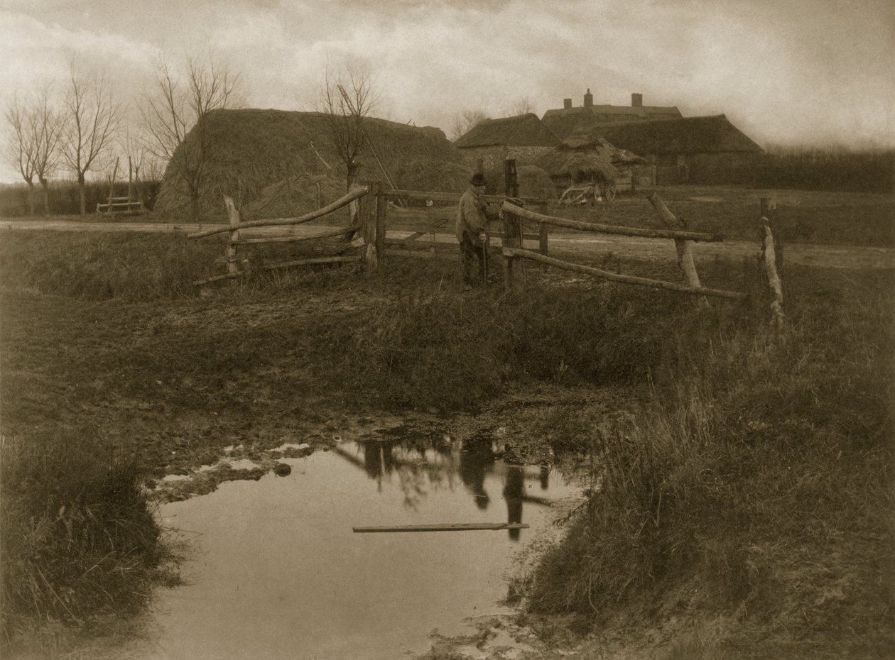 ए मार्श फार्म, c.1886 (तस्वीर) द्वारा पीटर इमर्सन और थॉमस गुडॉल