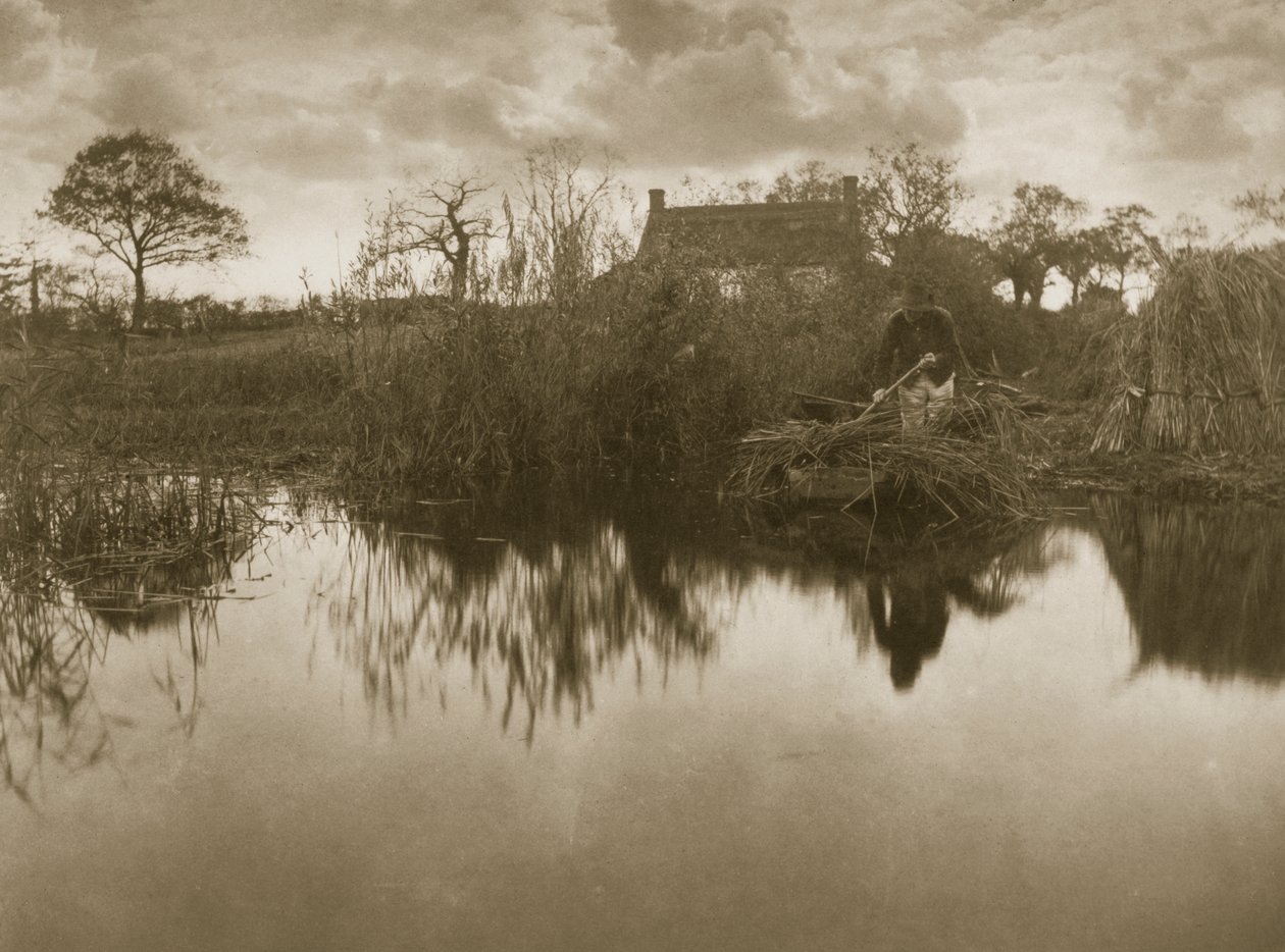 ग्लेडडन को इकट्ठा करना, c.1886 द्वारा पीटर इमर्सन और थॉमस गुडॉल