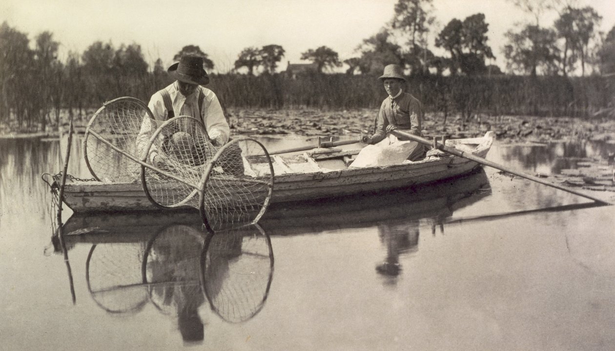 नॉरफ़ॉक ब्रोड्स पर बो नेट, लाइफ और लैंडस्केप की स्थापना; c.1886 द्वारा पीटर इमर्सन और थॉमस गुडॉल