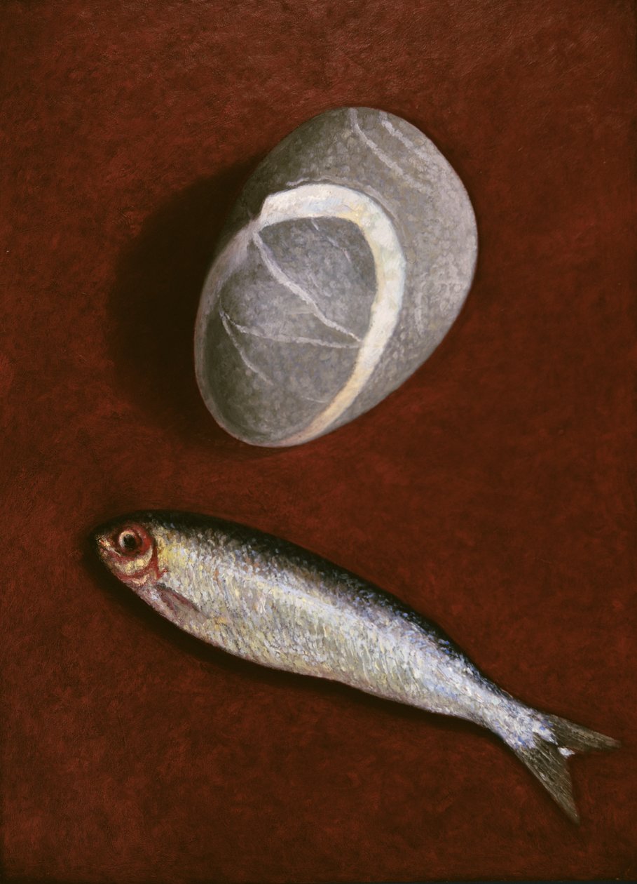 फिश एंड रॉक फॉर्म, 1997 द्वारा पीटर डेविडसन