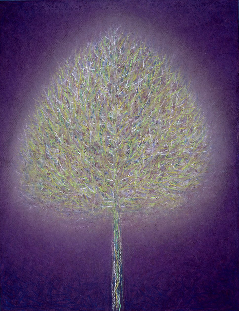 मिस्टिक ट्री, 1996 द्वारा पीटर डेविडसन
