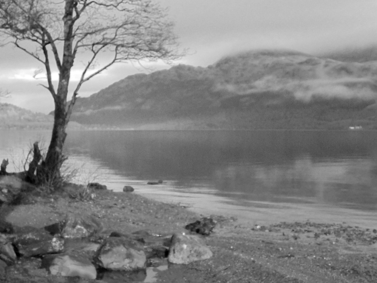 KINTYRE ... PLUS.14 द्वारा पीटर मैकक्लेर