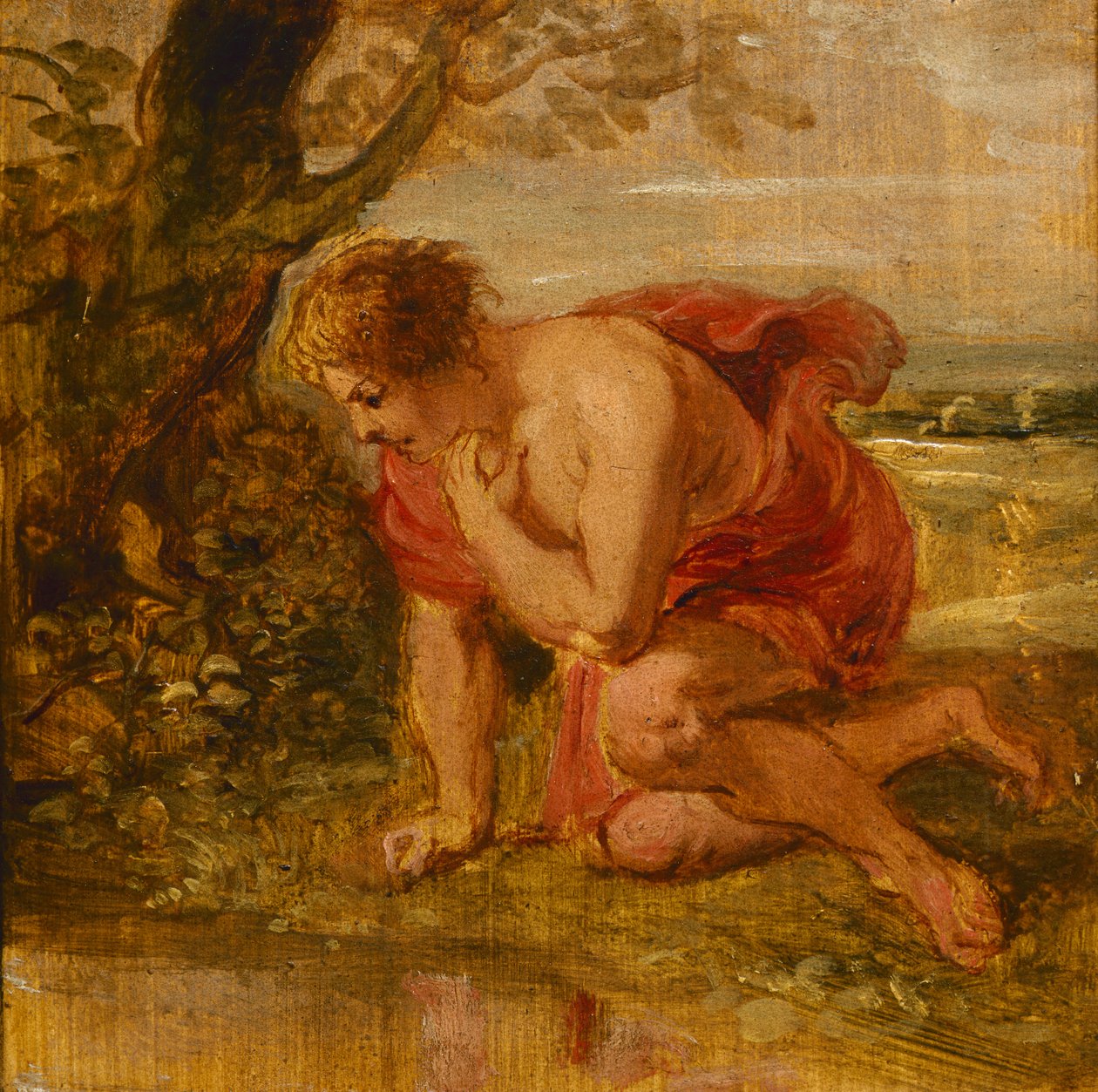 Narcissus द्वारा पीटर पॉल रूबेन्स