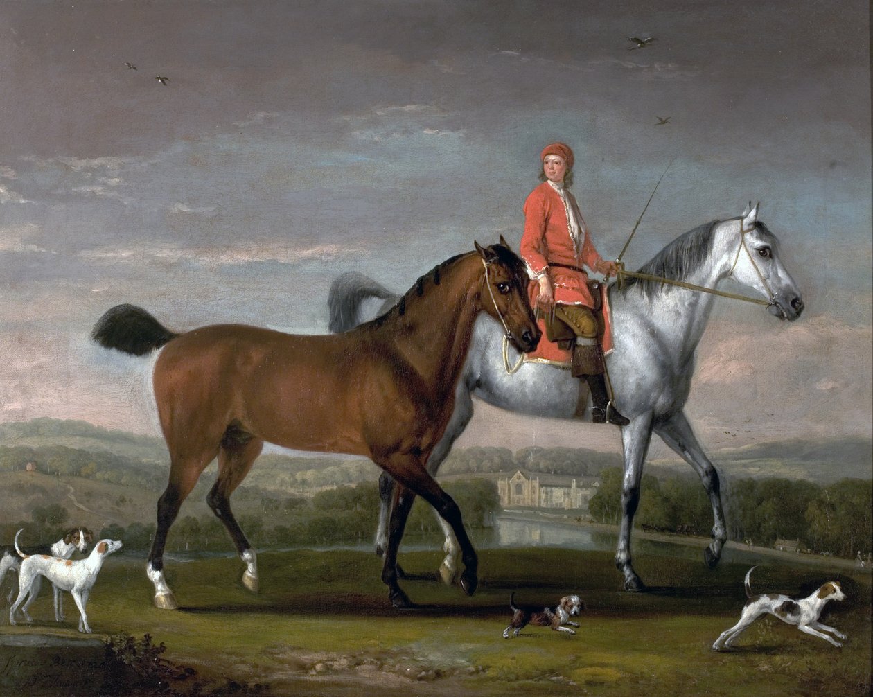 स्प्रूस और बेल, 1724 द्वारा पीटर टिलमैन