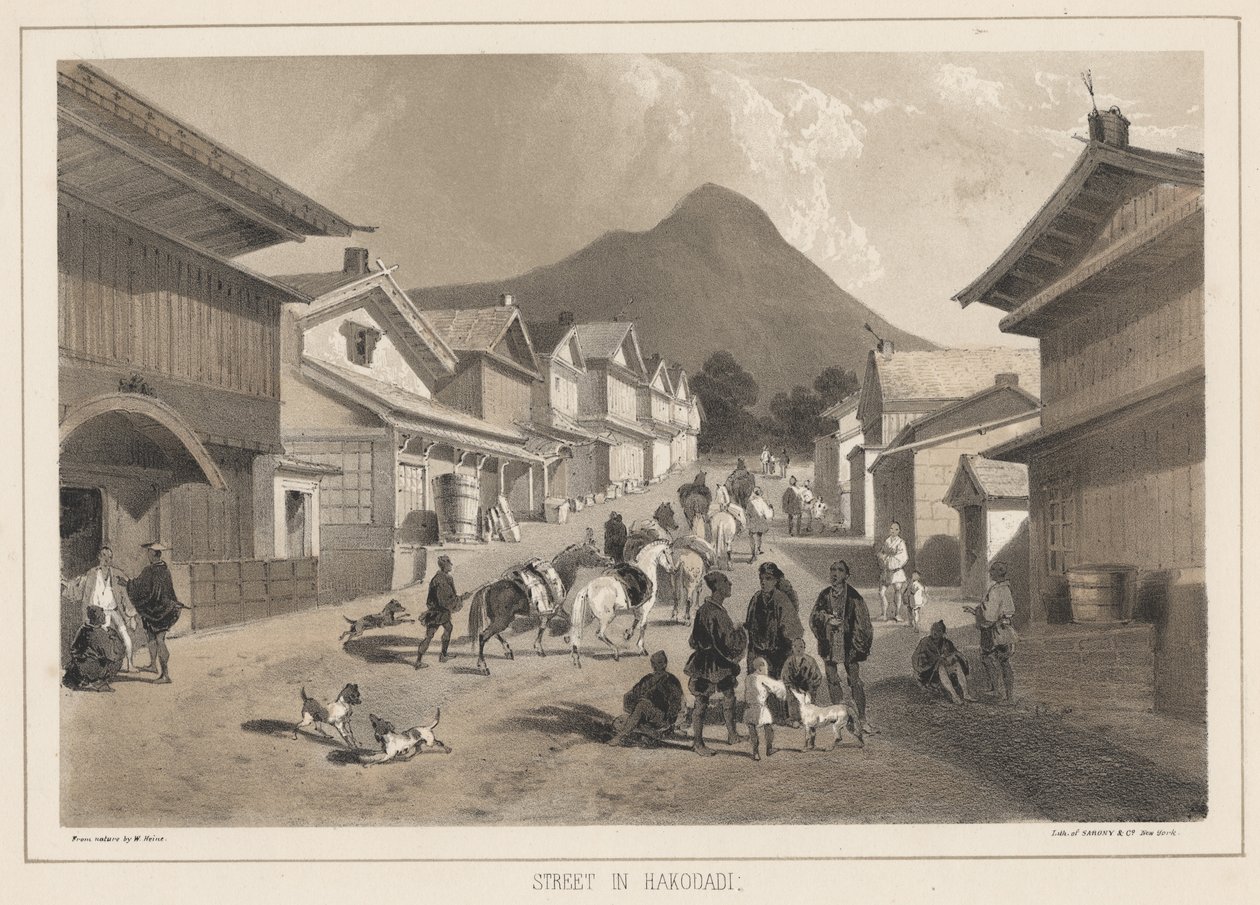 हकोदी में सड़क, सारोनी एंड कंपनी द्वारा लिथो, 1855 (क्रोमोलिथो) द्वारा पीटर बर्नहार्ड विल्हेम हेन