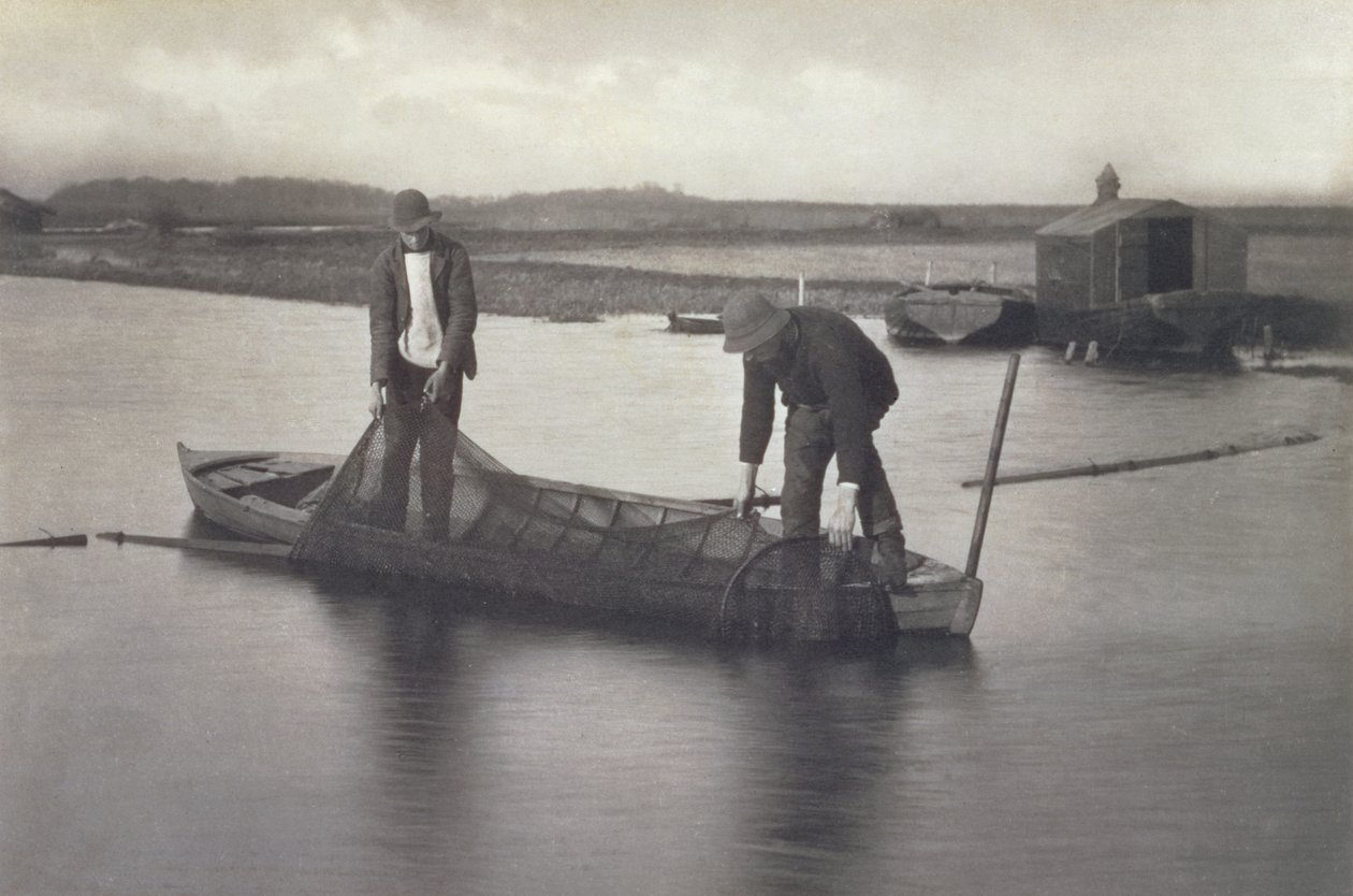 ईल नेट उठाकर, c.1886 द्वारा पीटर इमर्सन और थॉमस गुडॉल