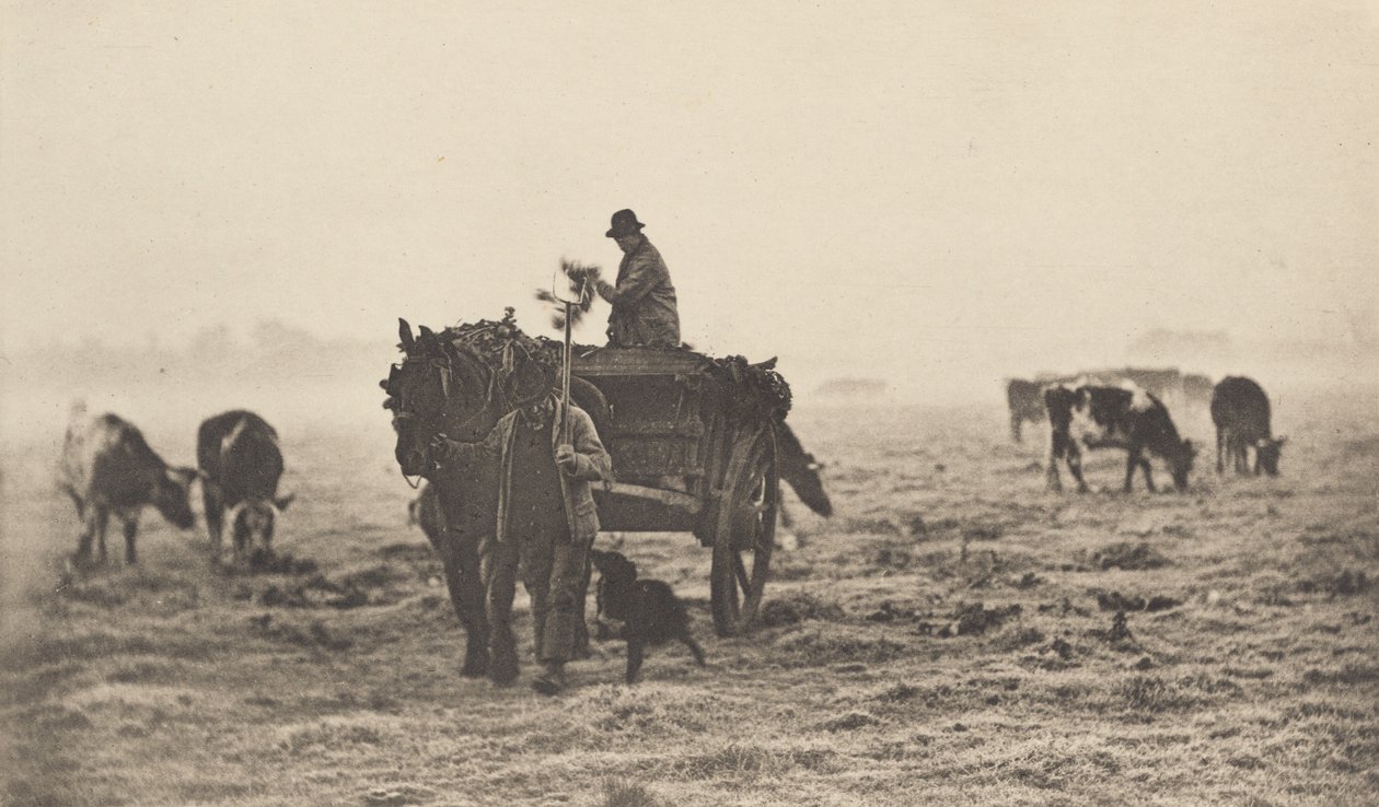 ए फ्रॉस्टी मॉर्निंग, 1890-1891, 1893 मुद्रित। द्वारा पीटर हेनरी इमर्सन