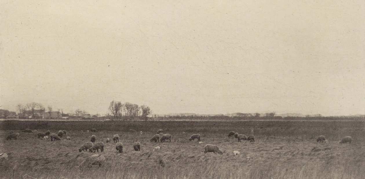 मार्श बाय द नॉर्थ सी, 1890-1891, 1893 मुद्रित। द्वारा पीटर हेनरी इमर्सन
