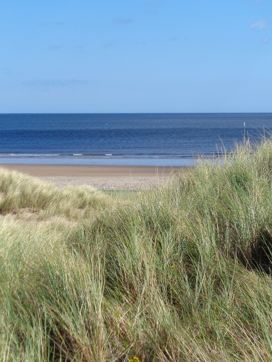 DURHAM COAST No.1, 2015 (PHOTOGRAPH) द्वारा पीटर मैकक्लेर
