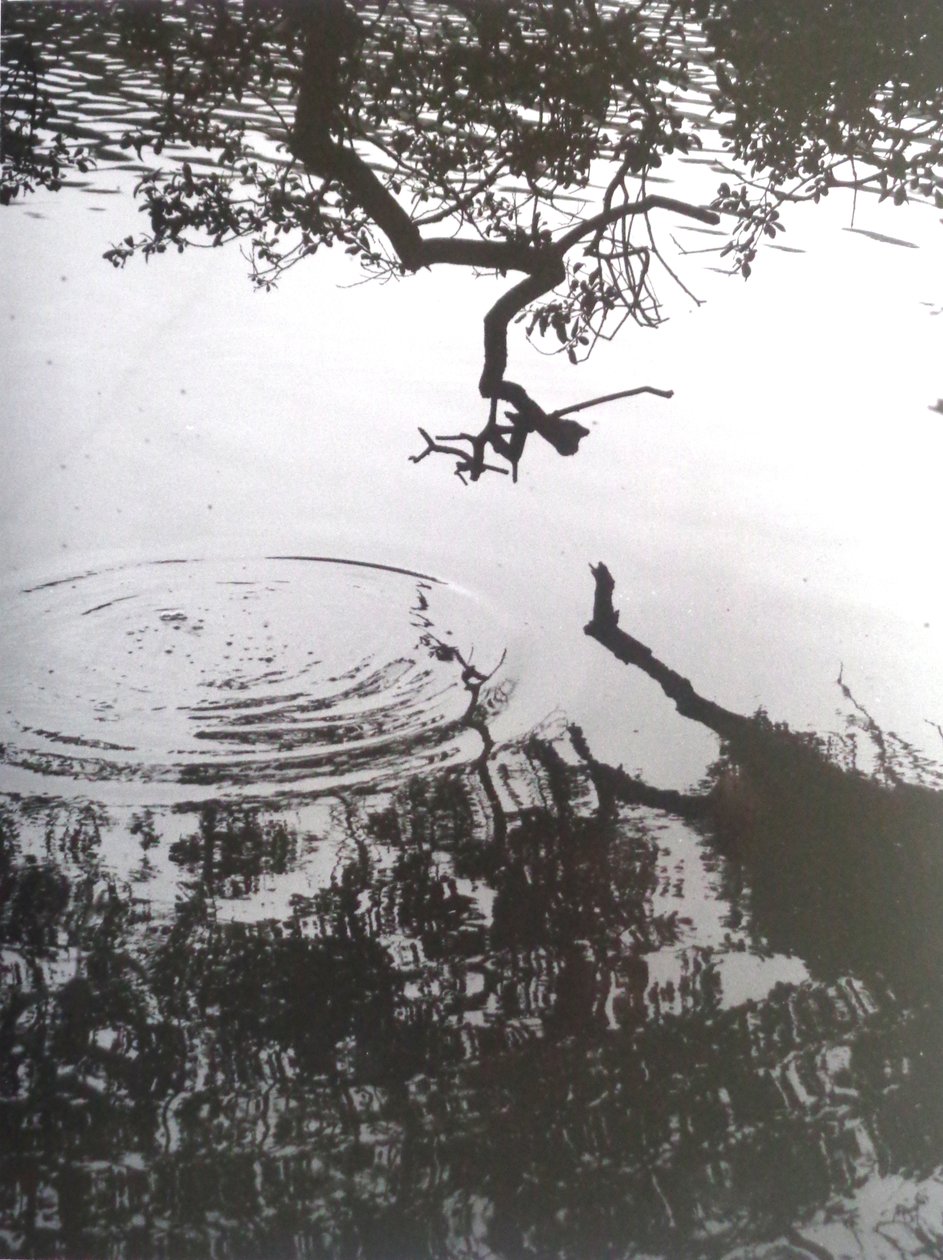 VINTAGE B & W PHOTO No.5, 1986 (PHOTOGRAPH) द्वारा पीटर मैकक्लेर