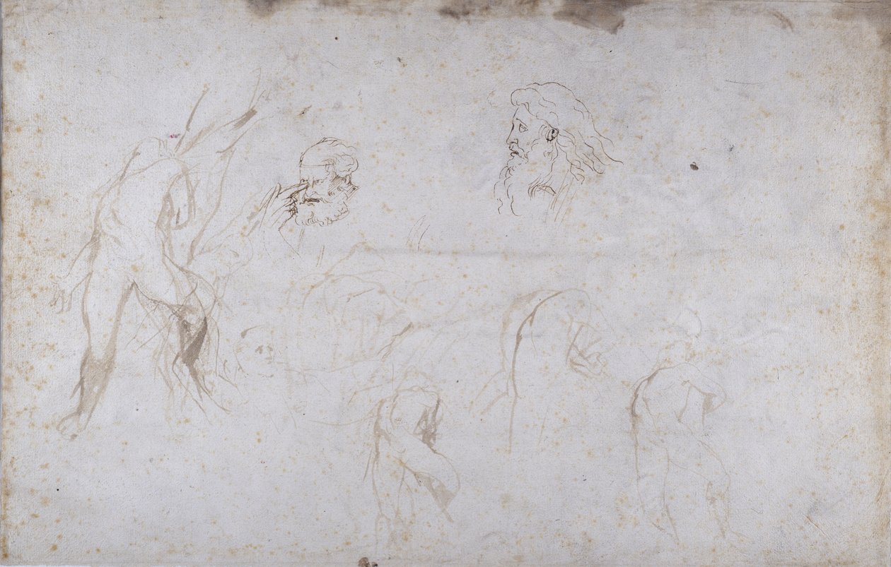 एक पेड़ से बंधी एक नर आकृति और दो नर सिरों का अध्ययन, c.1601 (कागज पर कलम और स्याही) द्वारा पीटर पॉल रूबेन्स