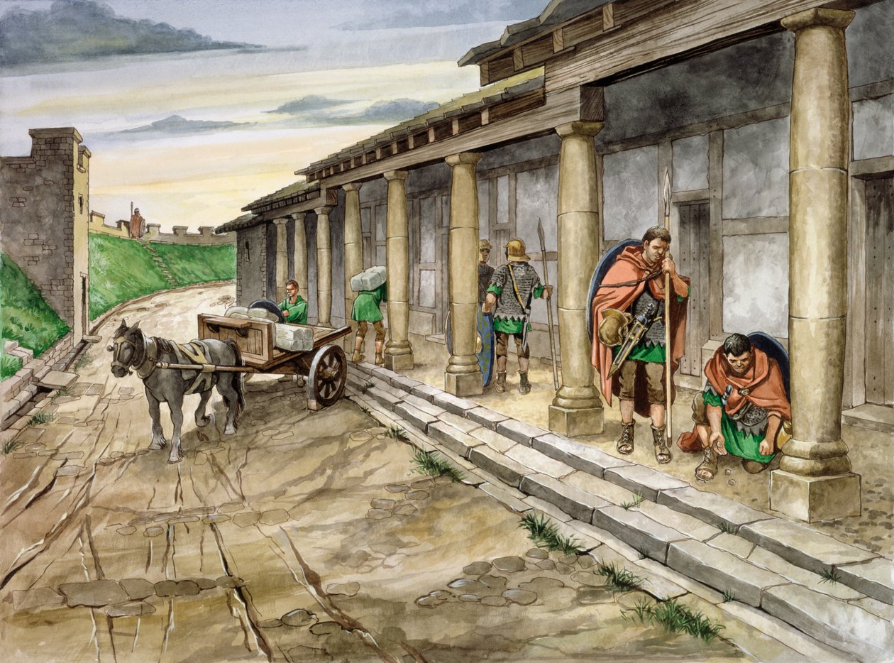 हाउसस्टेड्स रोमन फोर्ट, दूसरी शताब्दी, c1990-2010 द्वारा फिलिप कॉर्क