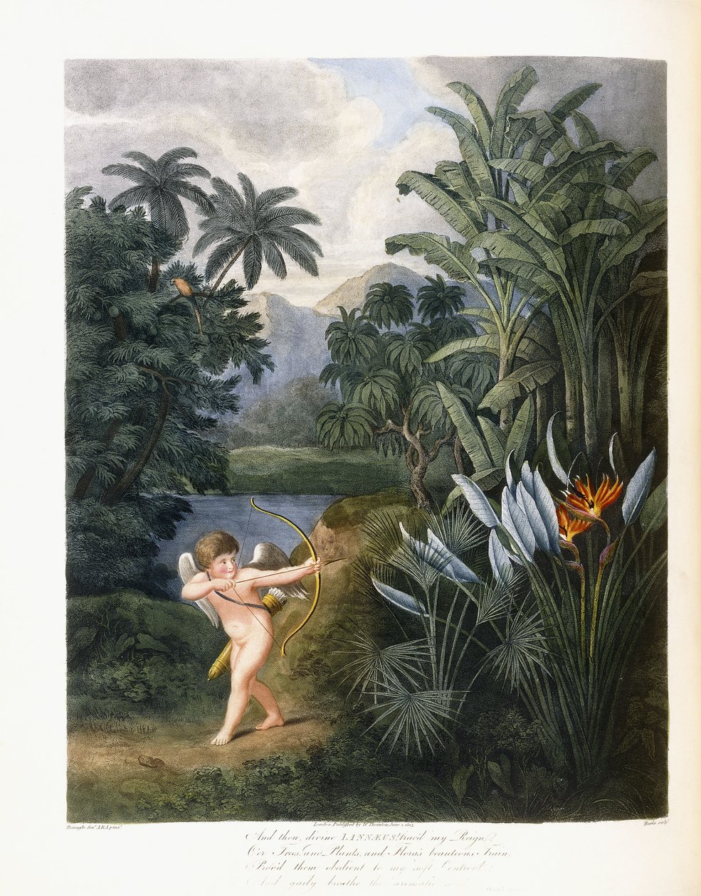 और फिर दिव्य लिनिअस, c.1796-1807 द्वारा फिलिप रीनगले
