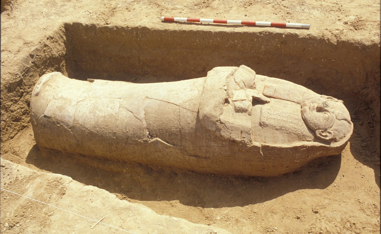 एंथ्रोपॉइड सार्कोफ़ॉस द्वारा Phoenician
