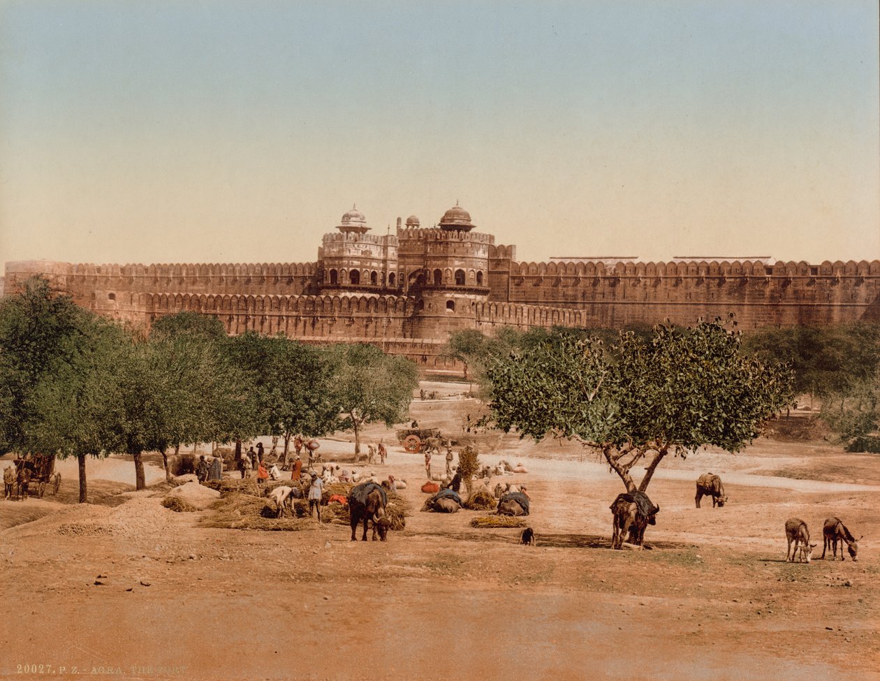  द्वारा फोटोग्लोब कंपनी (ज्यूरिख, सक्रिय सी। 1890 1910)