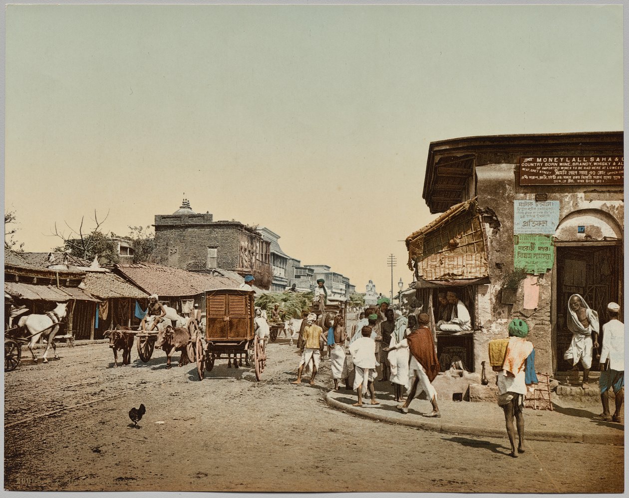 भारत. कलकत्ता. अपर चितपोर रोड (ए), डॉ. कर्ट बोएक द्वारा ली गई तस्वीर द्वारा फोटोग्लोब कंपनी (ज्यूरिख, सक्रिय सी। 1890 1910)