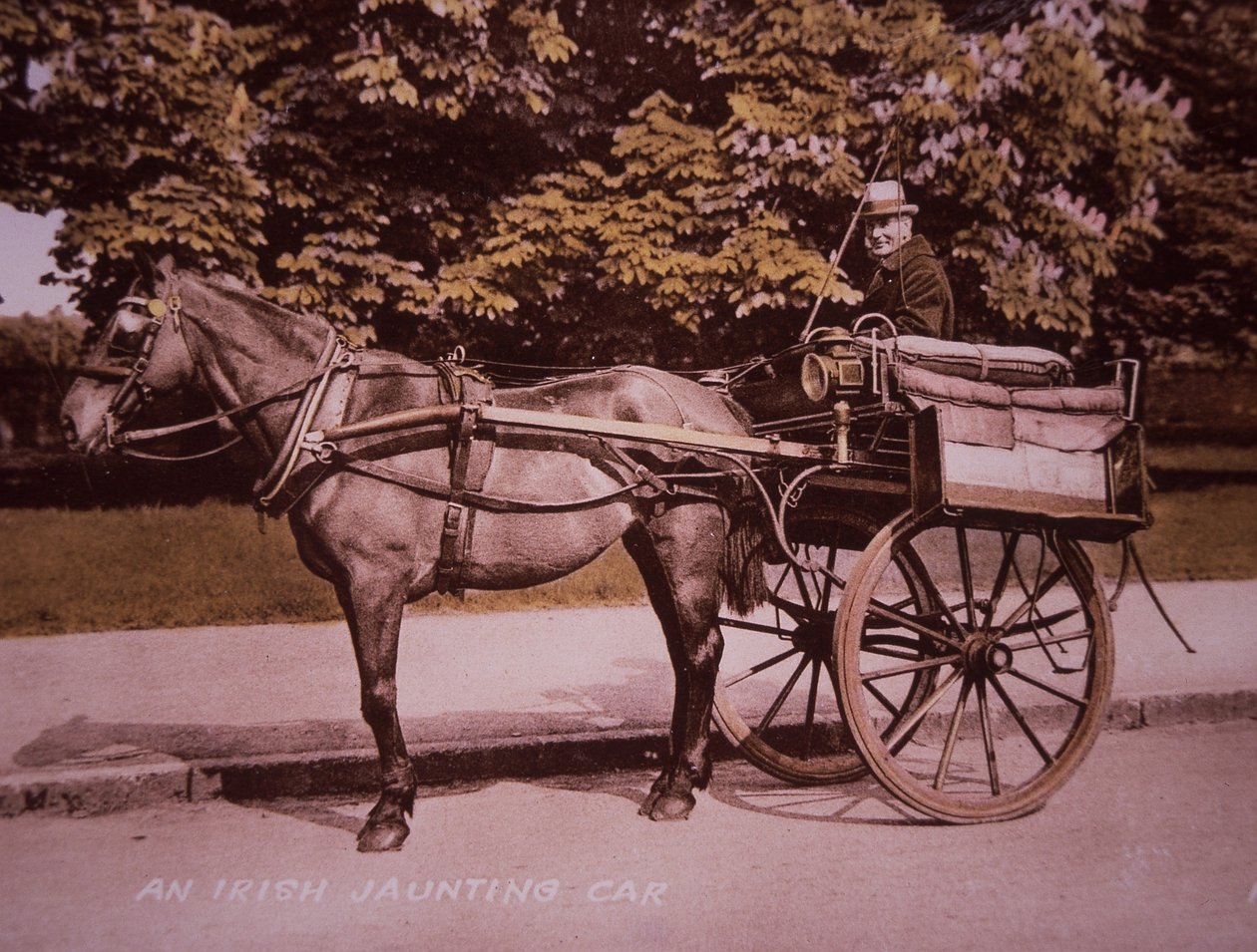 एक आयरिश जांटिंग कार, c.1910 (हाथ से रंगीन b/w फोटो) द्वारा फोटोग्राफर आयरिश