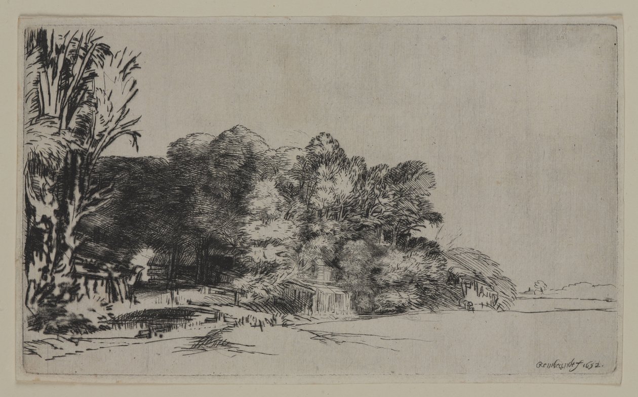 विस्टा, 1652 के साथ पेड़ों का झुरमुट (कागज़ पर सूखापन) द्वारा पियरे अगस्टे रेनॉयर