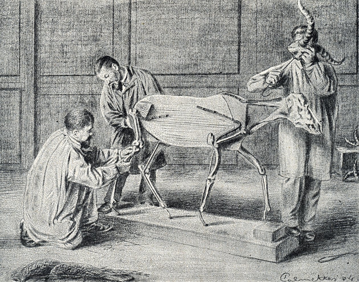  द्वारा पियरे कैलमेट्स