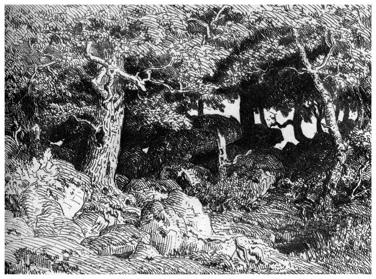 लेस चेन्स डी रोचे, सी 1832- 1860, 1924 द्वारा पियरे इटियेन थियोडोर रूसो