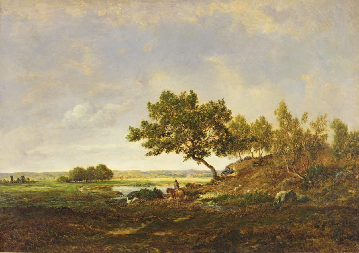 पहाड़ी के पैर में तालाब, c.1848-55 (लकड़ी पर तेल) द्वारा पियरे इटियेन थियोडोर रूसो