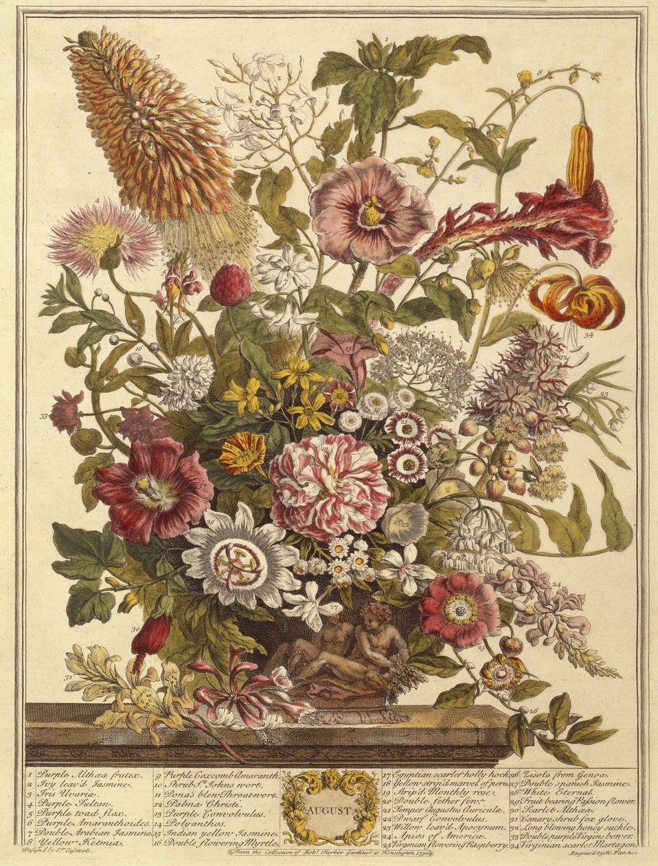 अगस्त, रॉबर्ट फर्बर द्वारा फूलों के बारह महीने (c.1674-1756) हेनरी फ्लेचर (रंग उत्कीर्णन) द्वारा उत्कीर्ण द्वारा केस्टर के बाद पीटर
