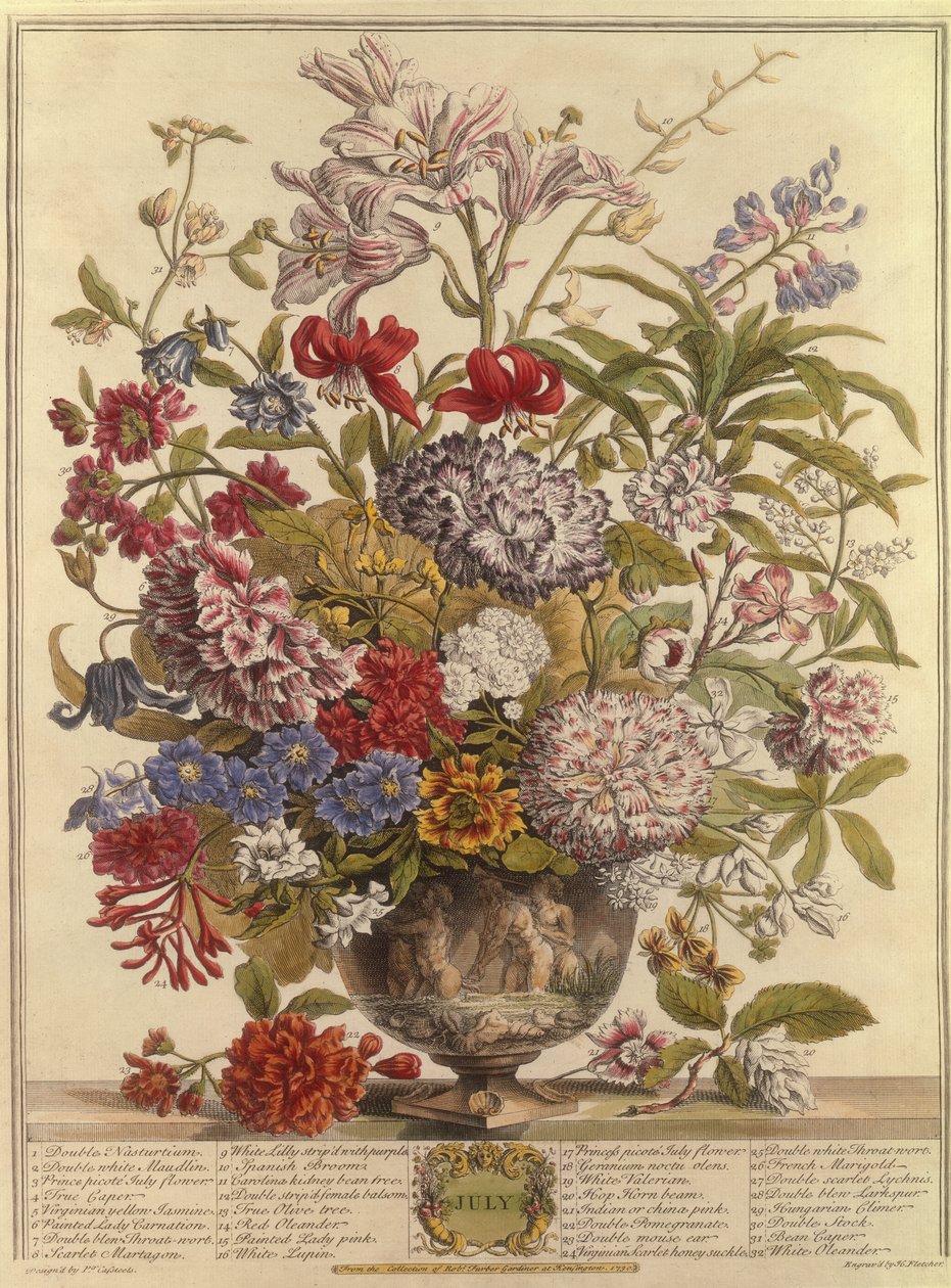 जुलाई, रॉबर्ट फर्बर द्वारा फूलों के बारह महीने (c.1674-1756) हेनरी फ्लेचर (रंग उत्कीर्णन) द्वारा उत्कीर्ण द्वारा केस्टर के बाद पीटर
