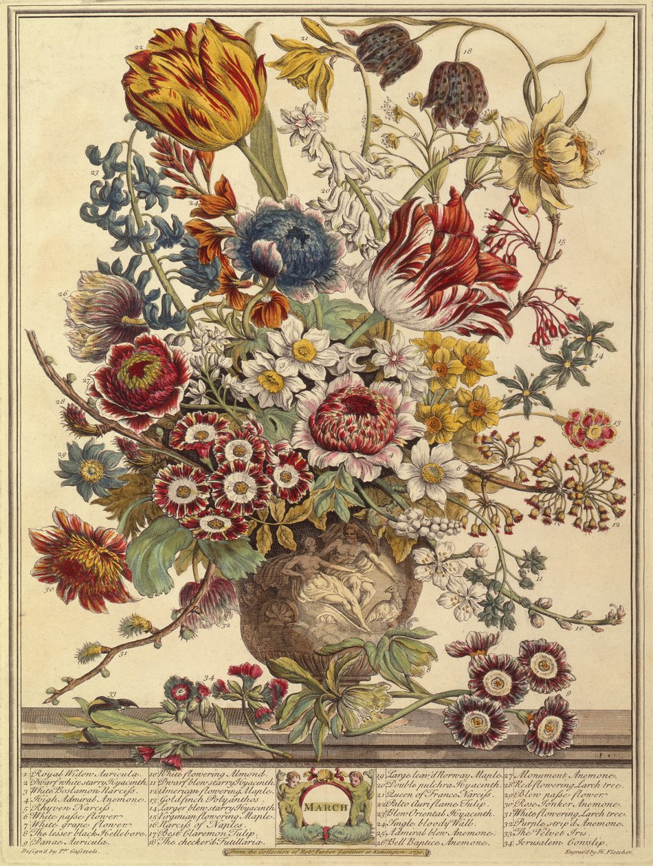 मार्च, रॉबर्ट फर्बर द्वारा फूलों के बारह महीने (c.1674-1756) हेनरी फ्लेचर (रंग उत्कीर्णन) द्वारा उत्कीर्ण द्वारा केस्टर के बाद पीटर