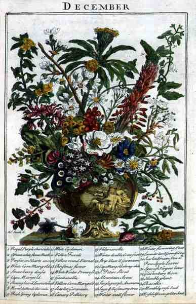 दिसंबर, रॉबर्ट फ्यूबर द्वारा प्रदर्शित 'द फ्लावर गार्डन' से (c.1674-1756), जेम्स स्मिथ द्वारा उकेरा गया, पब। 1732 (रंगीन उत्कीर्णन) द्वारा पीटर (बाद में) कैस्टेल्स
