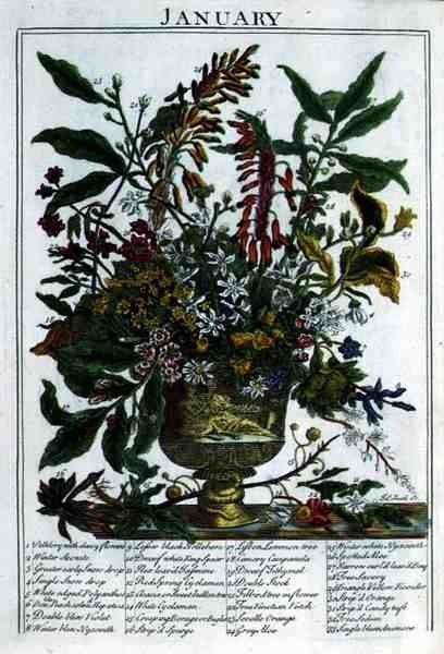 जनवरी, रॉबर्ट फ्यूबर द्वारा प्रदर्शित 'द फ्लावर गार्डन' से (c.1674-1756), जेम्स स्मिथ द्वारा उकेरा गया, पब। 1732 (रंगीन उत्कीर्णन) द्वारा पीटर (बाद में) कैस्टेल्स