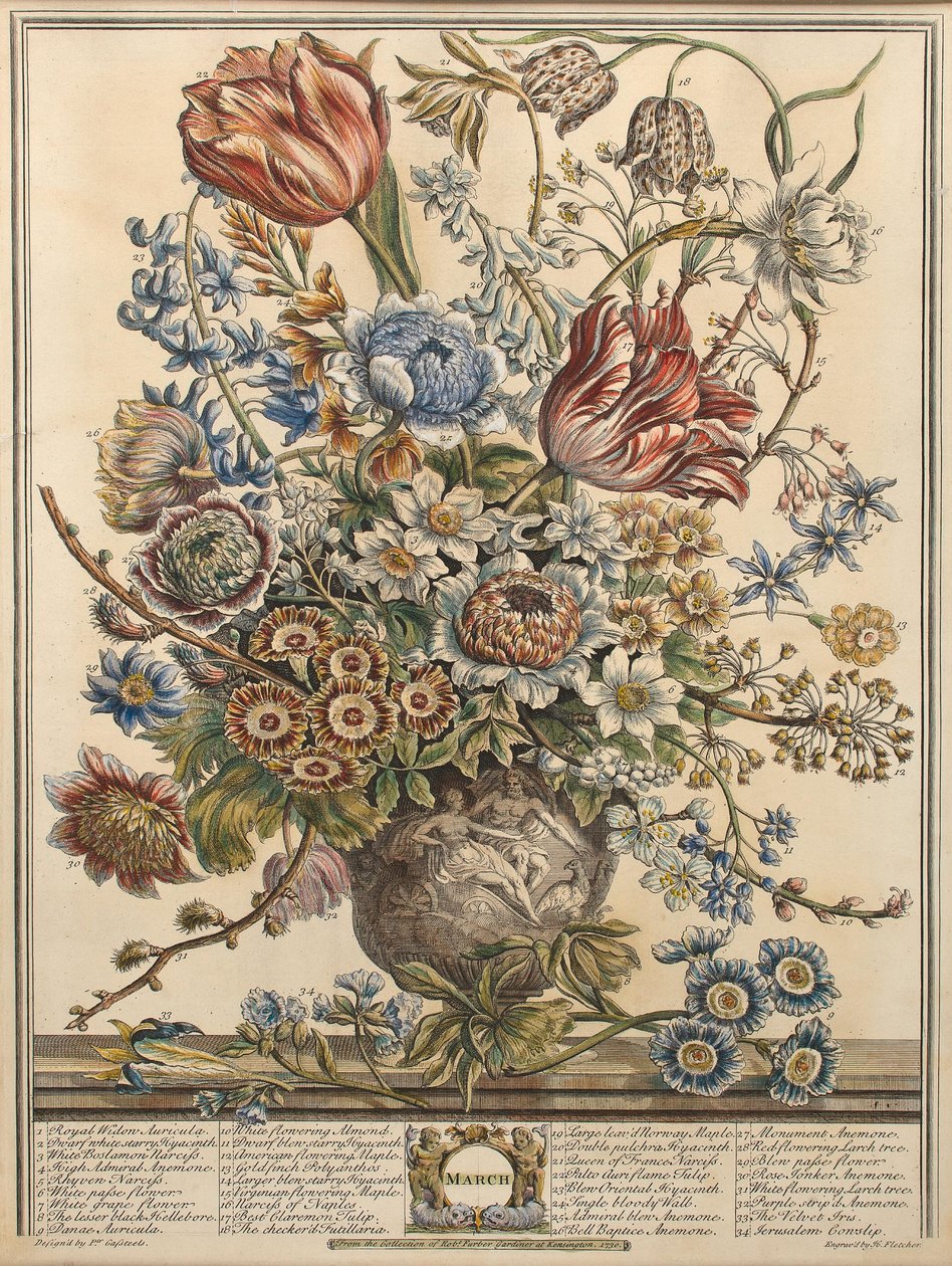 मार्च, रॉबर्ट फर्बर द्वारा &39;फूलों के बारह महीने&39; (c.1674-1756) हेनरी फ्लेचर (रंग उत्कीर्णन) द्वारा उत्कीर्ण द्वारा पीटर कास्टेल्स