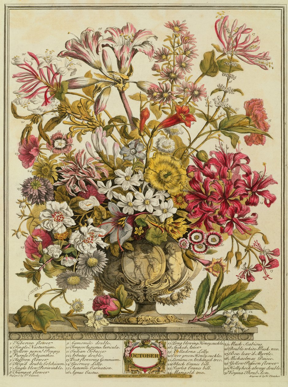 अक्टूबर, रॉबर्ट फर्बर द्वारा &39;फूलों के बारह महीने&39; (c.1674-1756) पर हेनरी फ्लेचर (रंग उत्कीर्णन) द्वारा पीटर कास्टेल्स