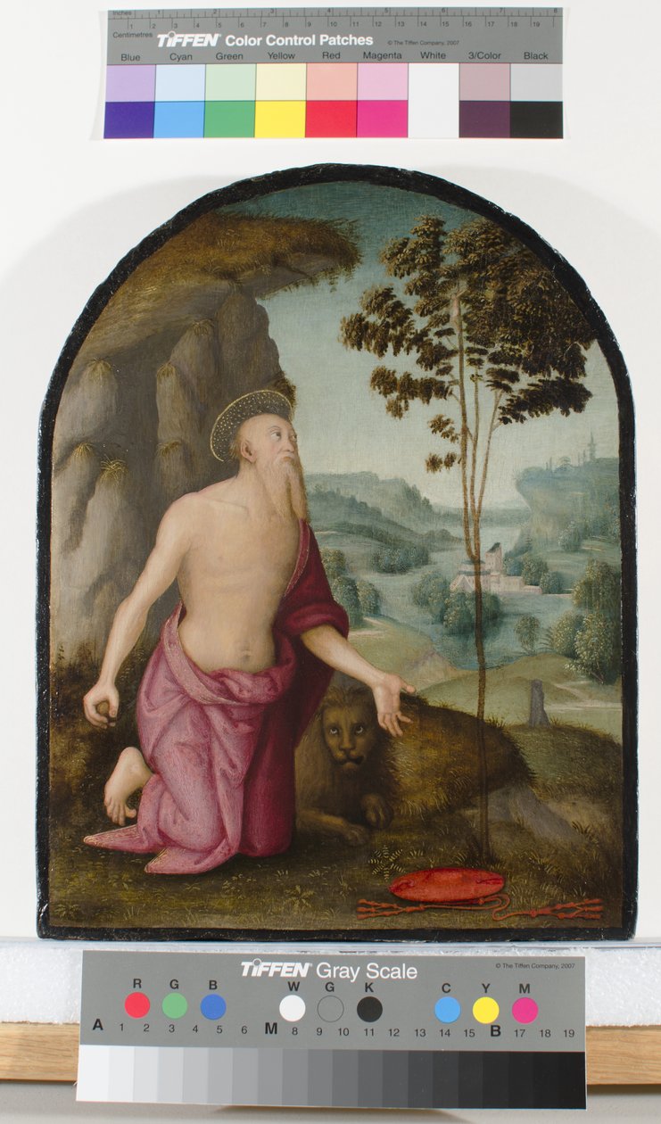 जंगल में संत जेरोम, c.1510-15 द्वारा पिएत्रो पेरुगिनो