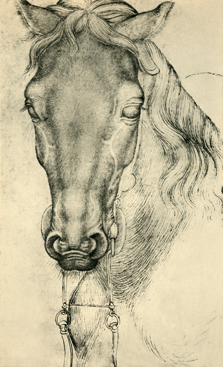 घोड़े का सिर, c1420-1455, 1943। द्वारा एंटोनियो पिसानेलो